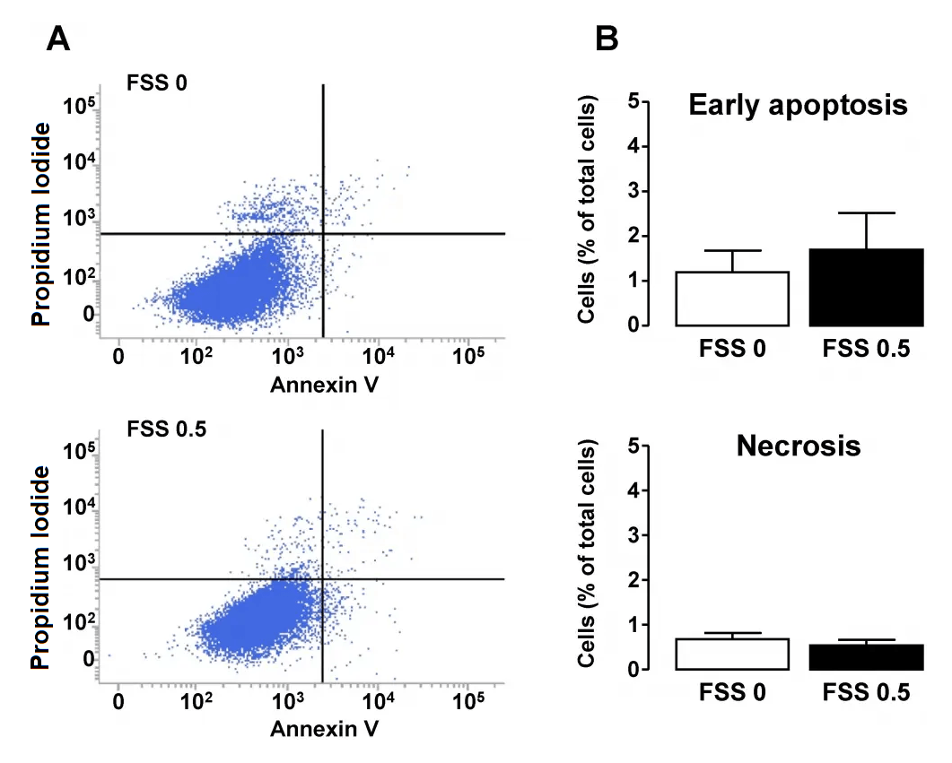 Effect of FSS on apoptosis and necrosis in tubular cells.