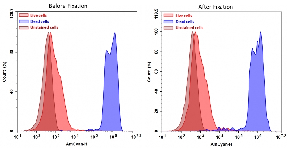 Detection of Jurkat cell viability by Cell Meter™ fixable viability dye.