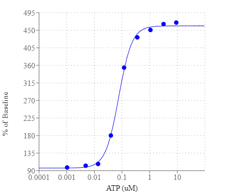 ATP Dose Response was measured in CHO-K1 cells with Screen Quest™ Fluo-4 No Wash Calcium Assay Kit.