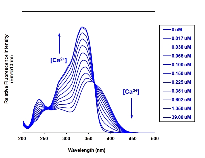 Fluorescence excitation spectra of Fura-2 in solutions containing 0 to 39uM free Ca2+.
