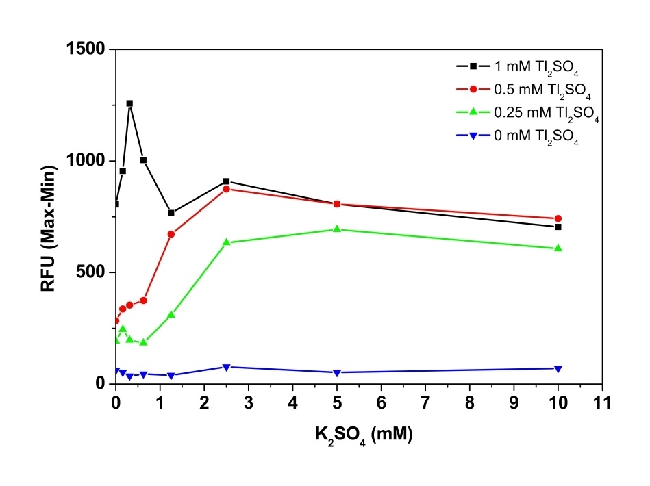 K2SO4 dose dependent hERG  channel activity was measured in HEK293-KCNH2 cells with Screen QuestTM Potassium Ion Channel Kit.