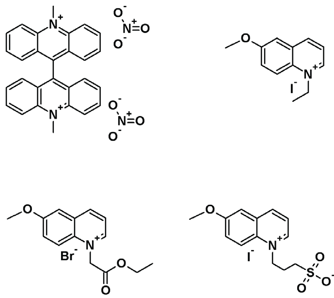 Chemical structures of Lucigenin, MEQ, MQAE, and SPQ.
