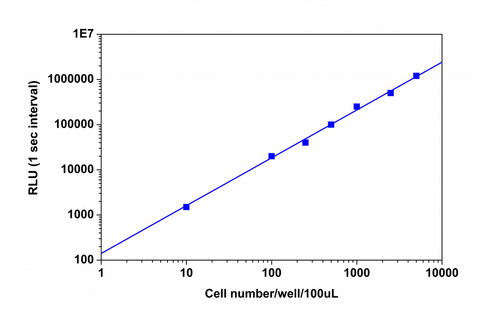 CHO-K1 cell number was measured with the PhosphoWorks™ Luminescence ATP Assay Kit