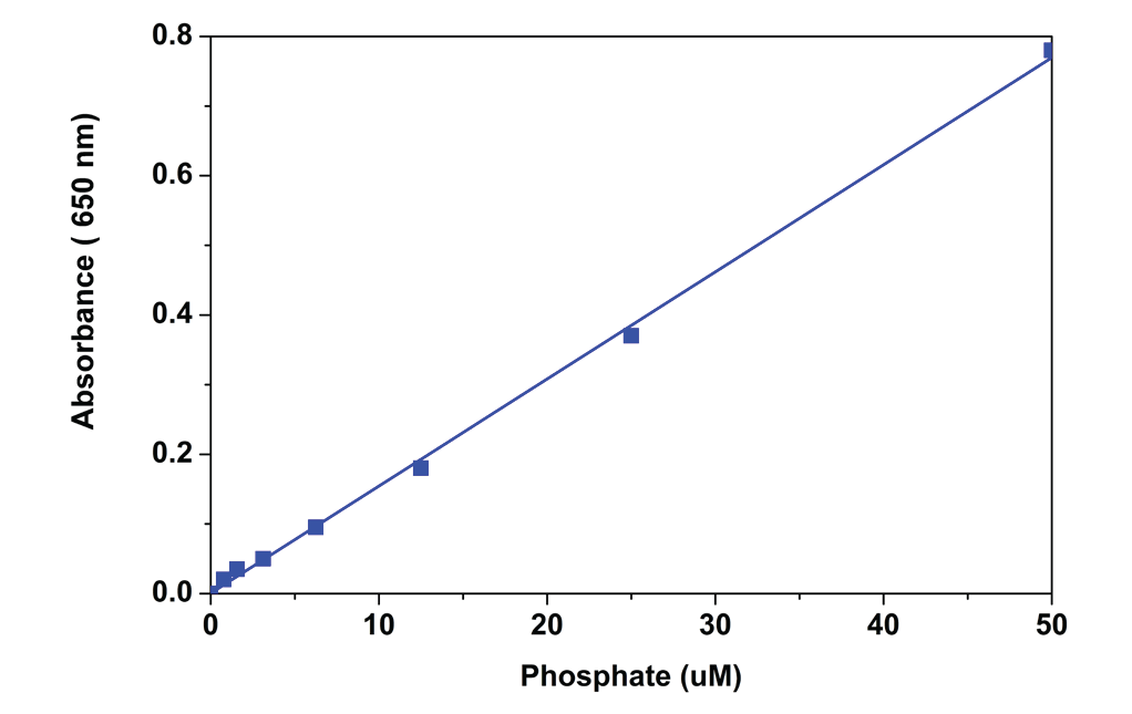 Phosphate dose responses were measured with the PhosphoWorks™ Colorimetric Phosphate Assay Kit