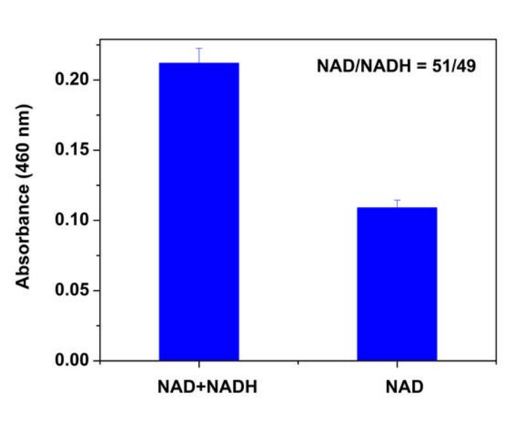 Amplite™ Colorimetric NAD/NADH Ratio Assay Kit