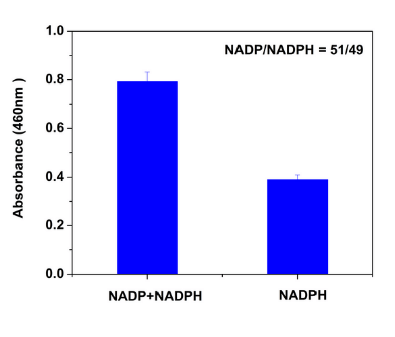 Amplite™ Colorimetric NADP/NADPH Ratio Assay Kit (Cat# 15274) was used to measure NADP/NADPH ratio