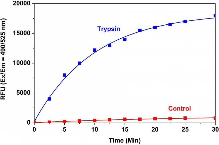 Trypsin protease activity was analyzed by Amplite® Universal Fluorimetric Protease Activity Assay Kit. 