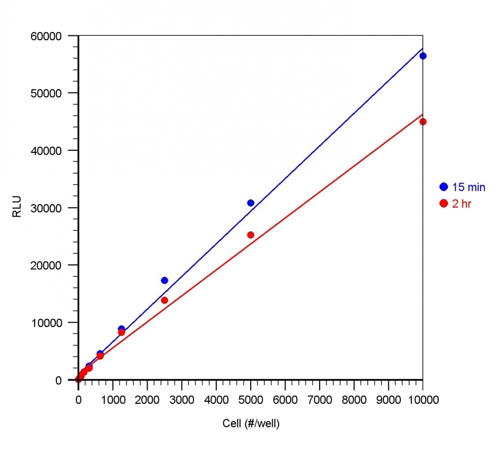 ReadiUse™ Rapid Luminometric ATP Assay Kit