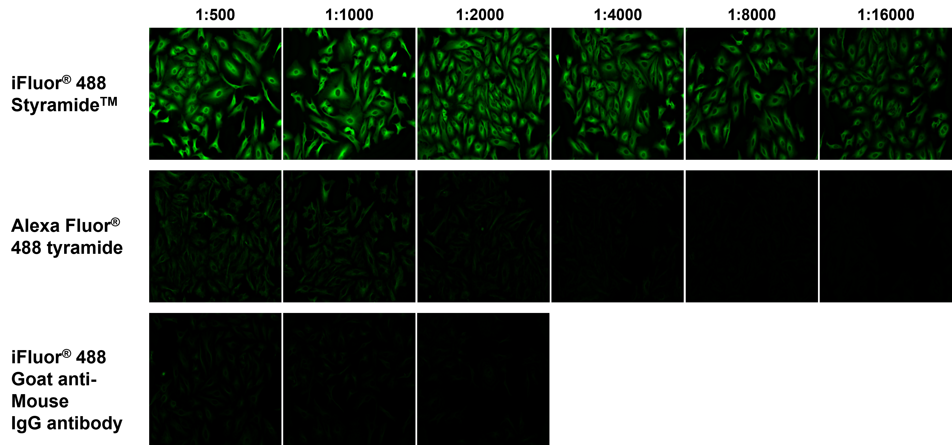 Sensitivity comparison of Styramide™ Super Signal Amplification Kits.
