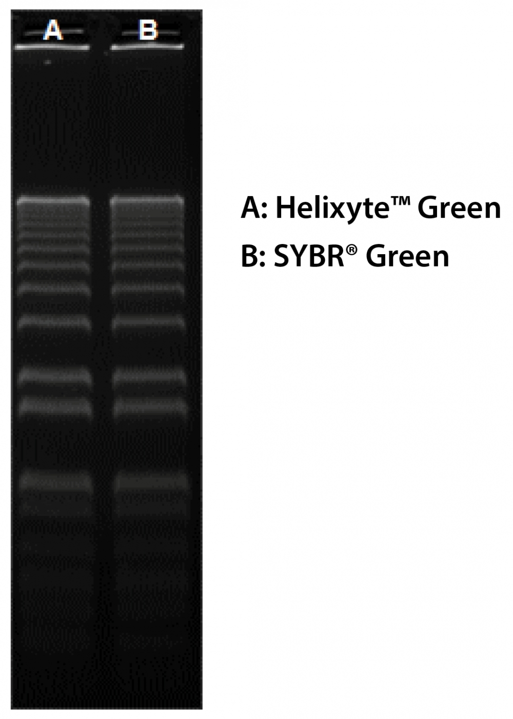 Comparison of Helixyte™ Green and SYBR® Green