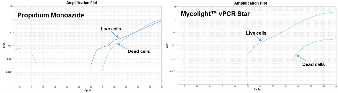 Normalized qPCR curves from a viability PCR experiment in which live and heat-inactivated E. coli were treated with MycoLight™ vPCR Star.