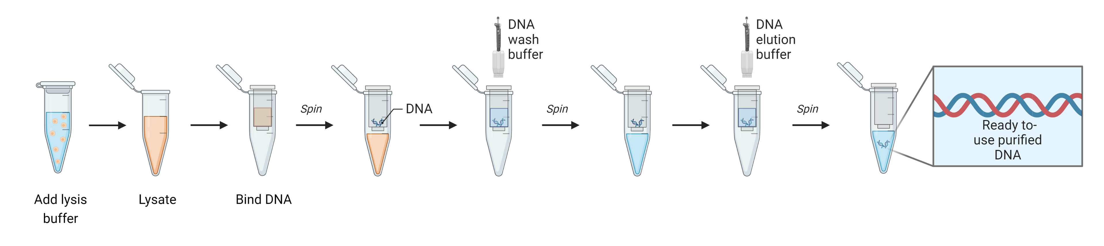 Illustration of solid-phase DNA extraction using silica gel spin columns.