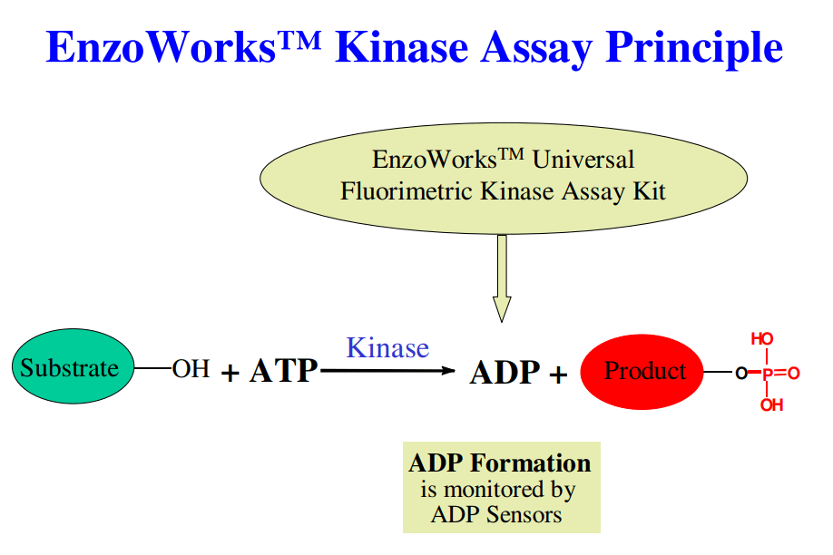 Assay Principle