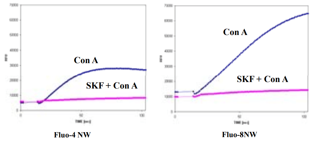 Comparison