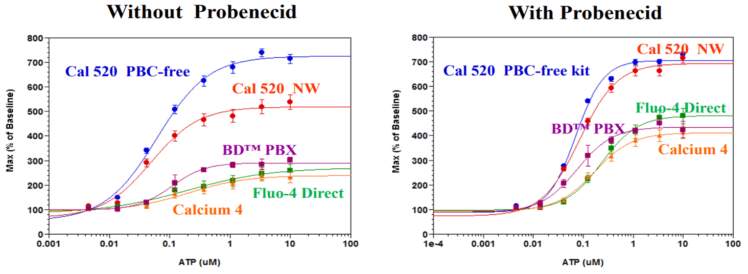 Without probenecid;With probenecid