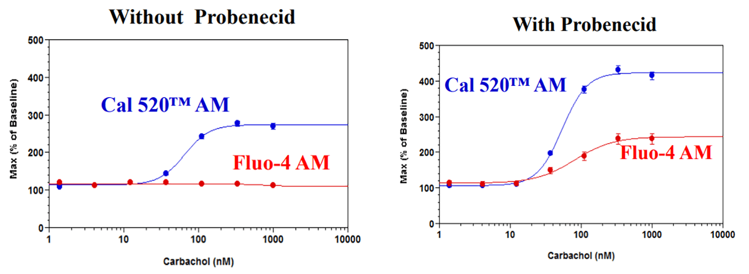 Without probenecid;With probenecid