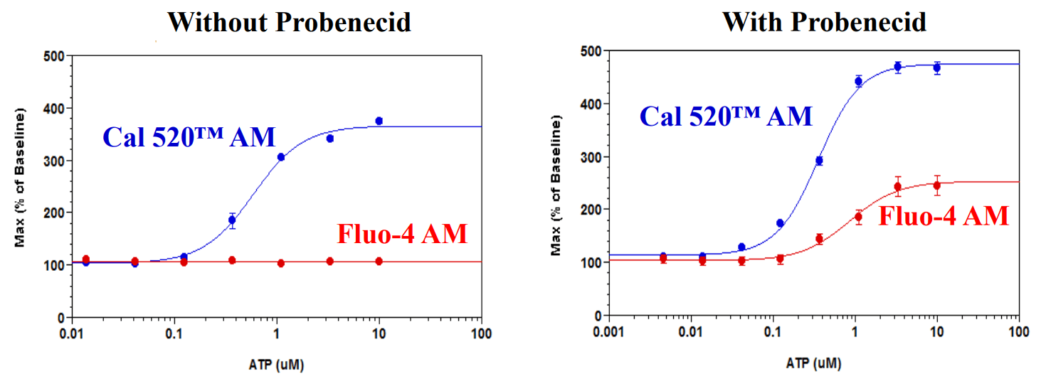 Without probenecid;With probenecid