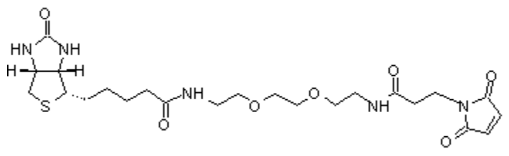 Biotin PEG2 maleimide