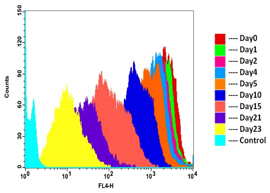 Cell tracking assay