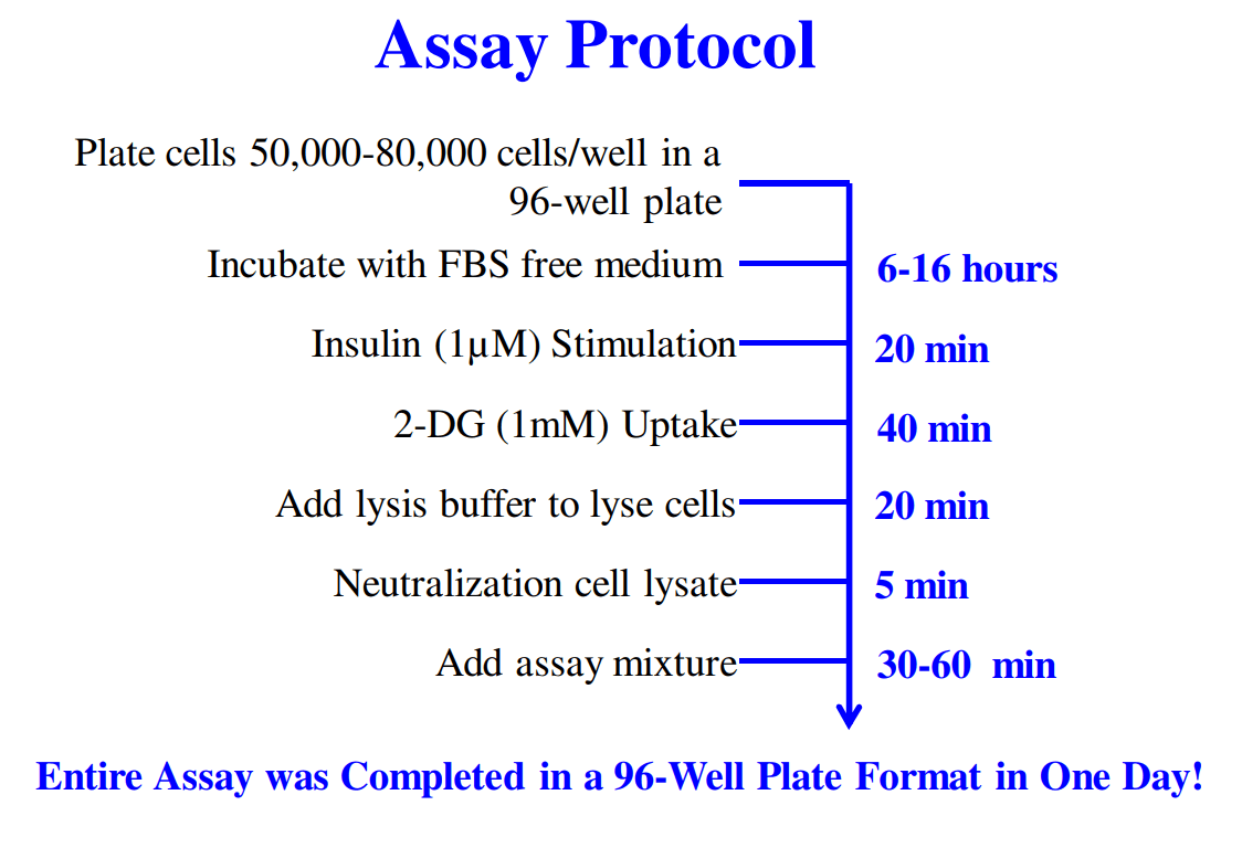 Protocol