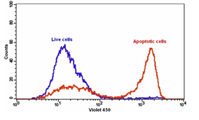 Binding Activity