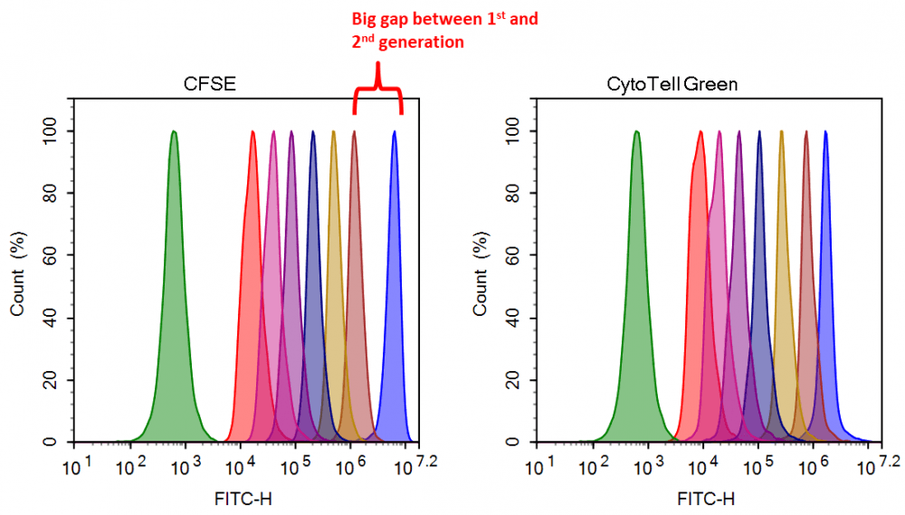 Cell Proliferation Assay