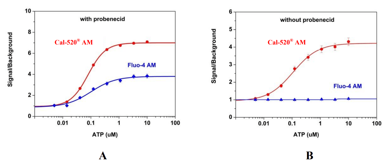 ATP-stimulated calcium response