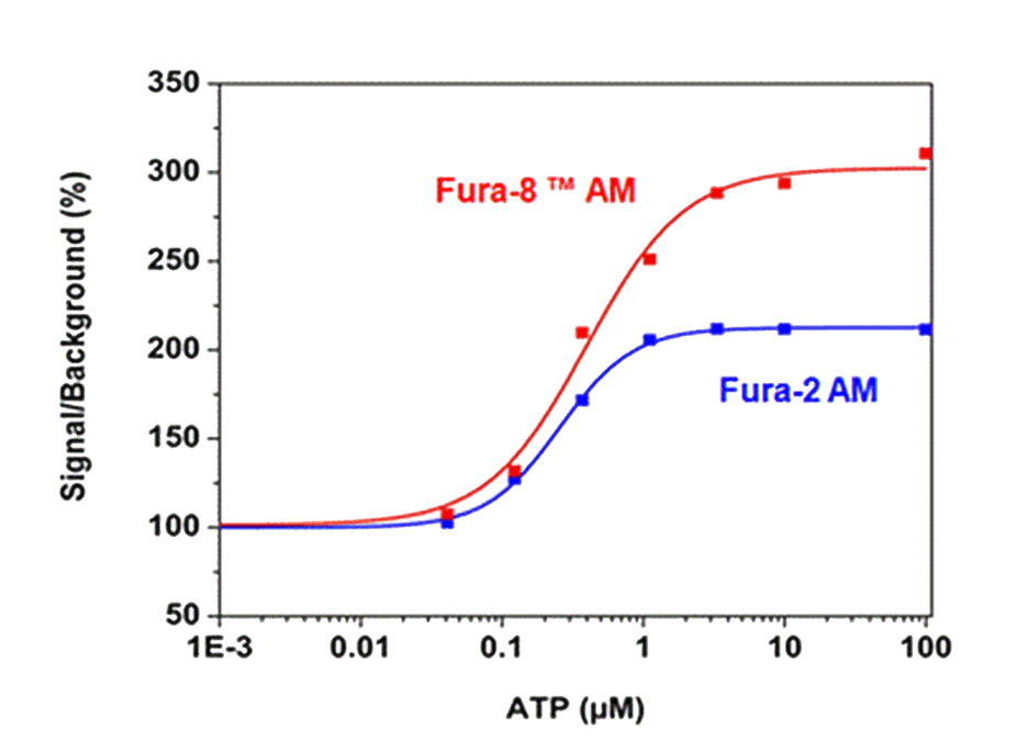 ATP Dose response