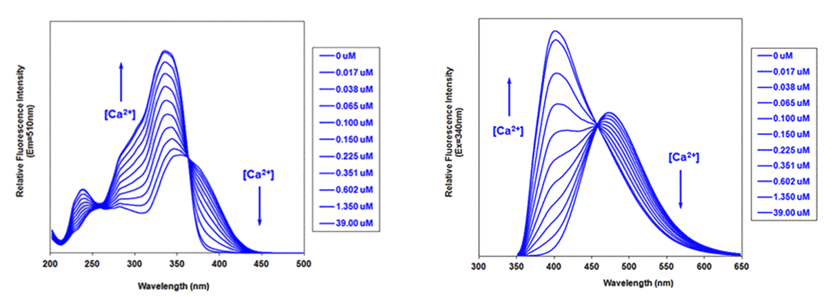 Fura-2;Indo-1