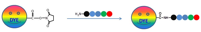 Reaction Scheme