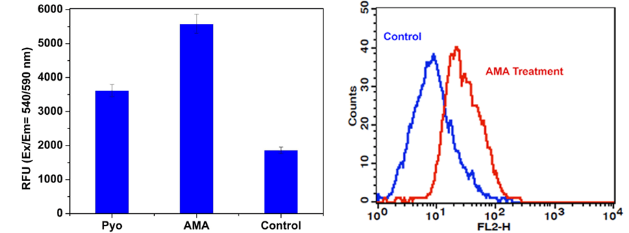 (C) Microplate Measurmements;(D) Flow Cytometric Analysis