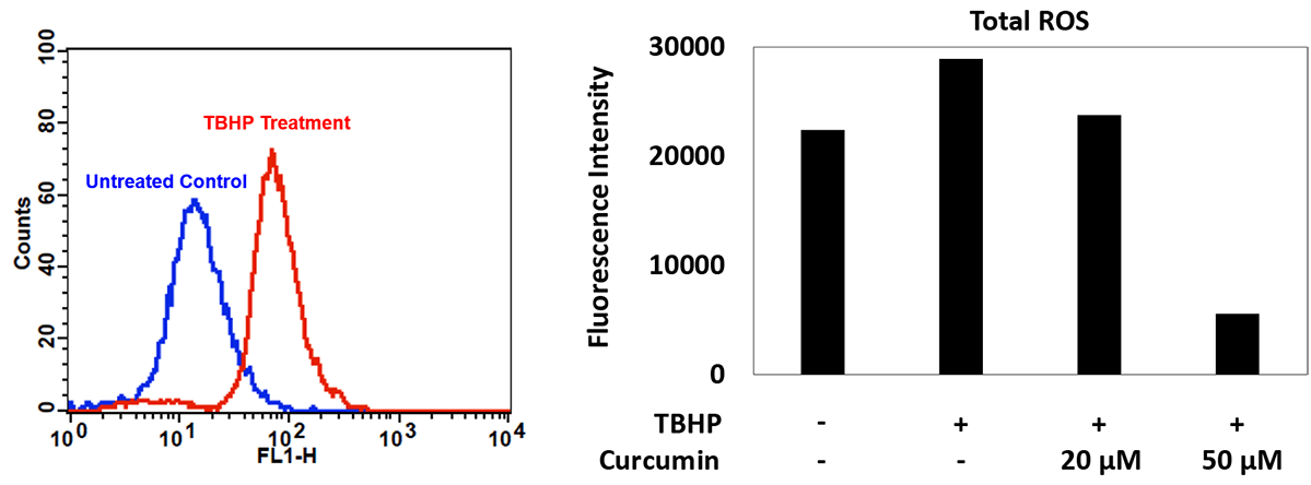 Total_ROS_detection_A;Total_ROS_detection_B