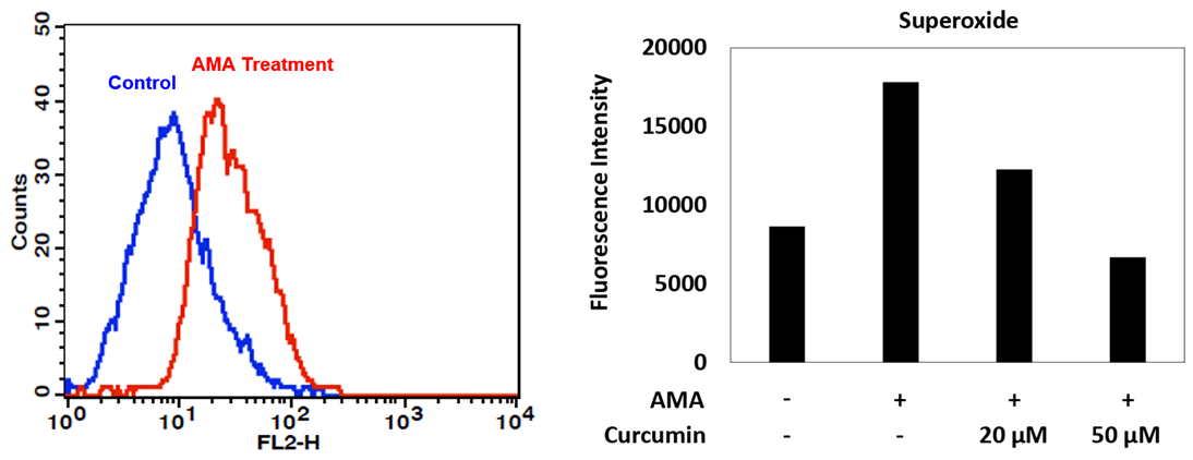 Superoxide_detection_A;Superoxide_detection_B