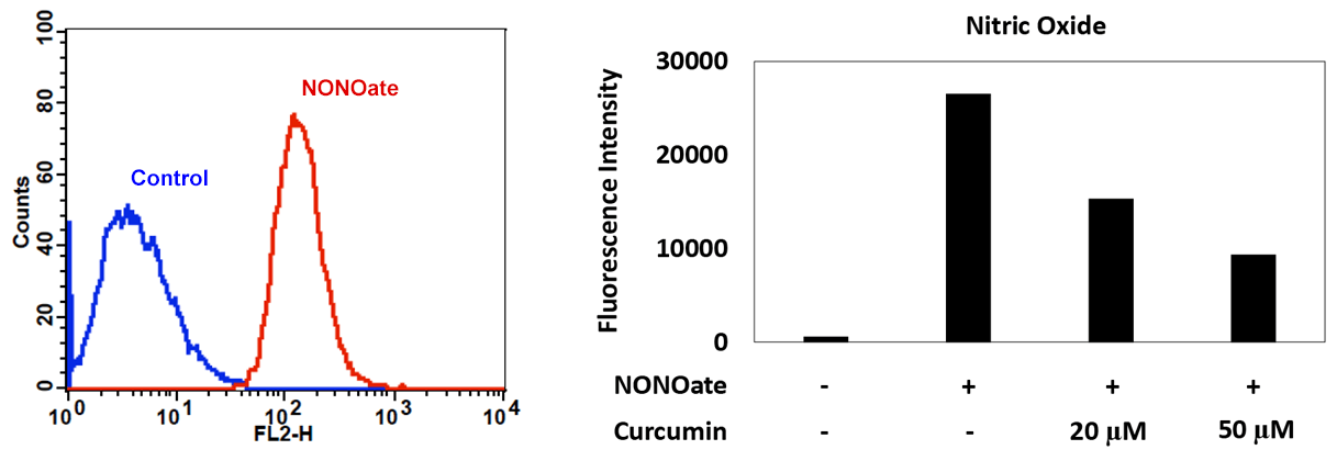 NO_detection_A;NO_detection_B