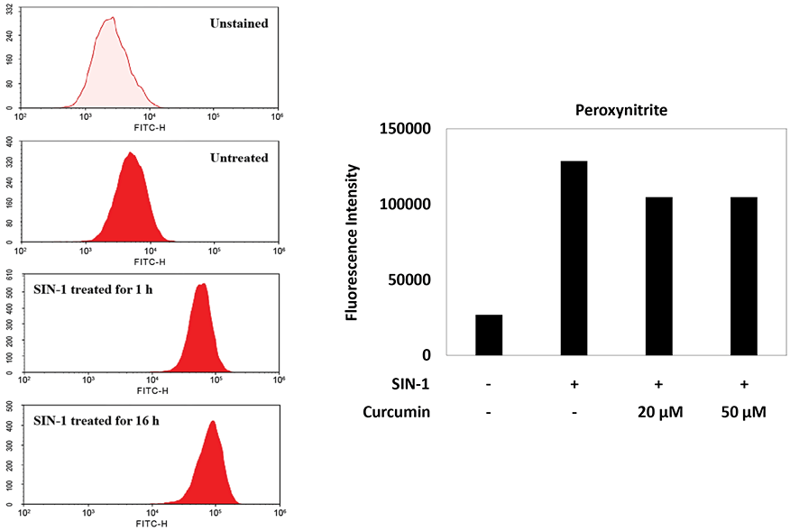 ONOO_detection_A;ONOO_detection_B