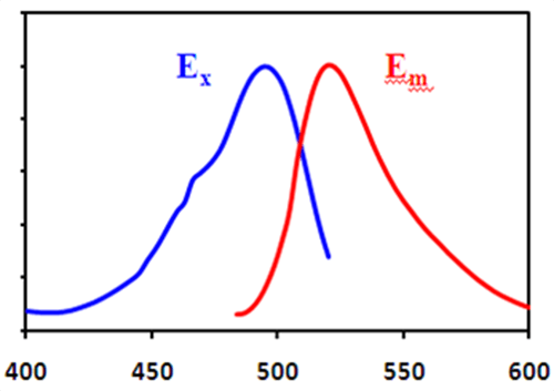 Maleimide Green Spectra