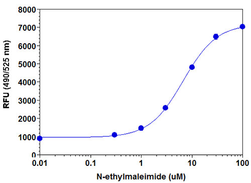 N-ethylmaleimide dose response