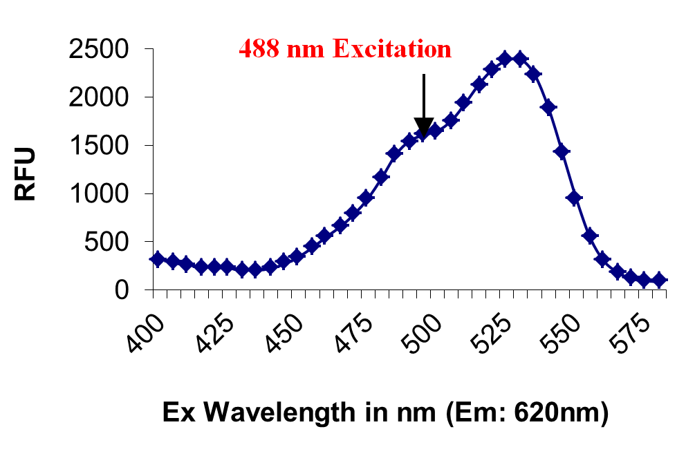 Excitation Spectrum of Rhod4
