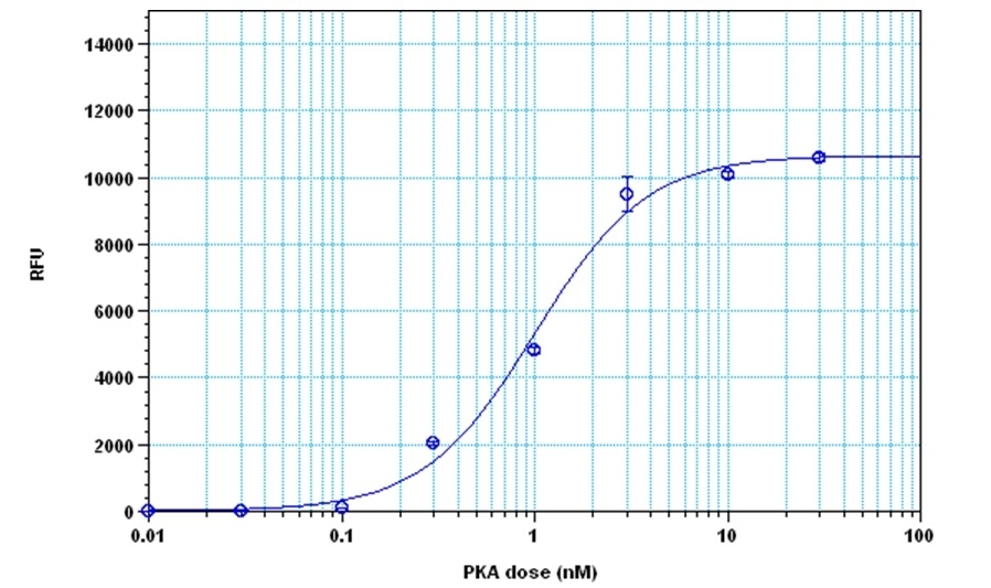 Amplite® Fluorimetric Kinase Assay Kit
