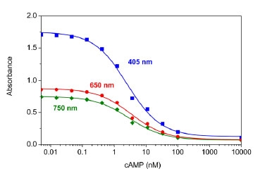 cAMP dose response