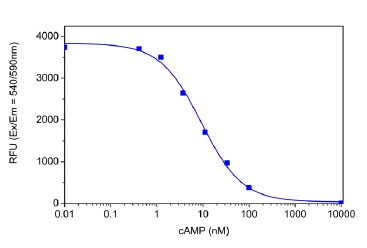 cAMP dose response