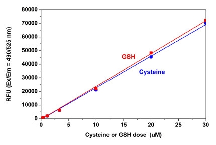 GSH and cysteine dose responses were measured in a 96-well black solid plate with Amplite® Fluorimetric Thiol Quantitation Assay Kit using a NOVOstar microplate reader (BMG Labtech). As low as 10 nM (1 pmol/well) of GSH or Cysteine was detected with 10 minutes incubation (n=3).