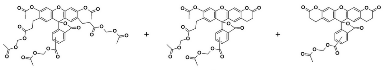 Structures of BCECF AM