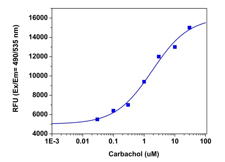 Carbachol dose response