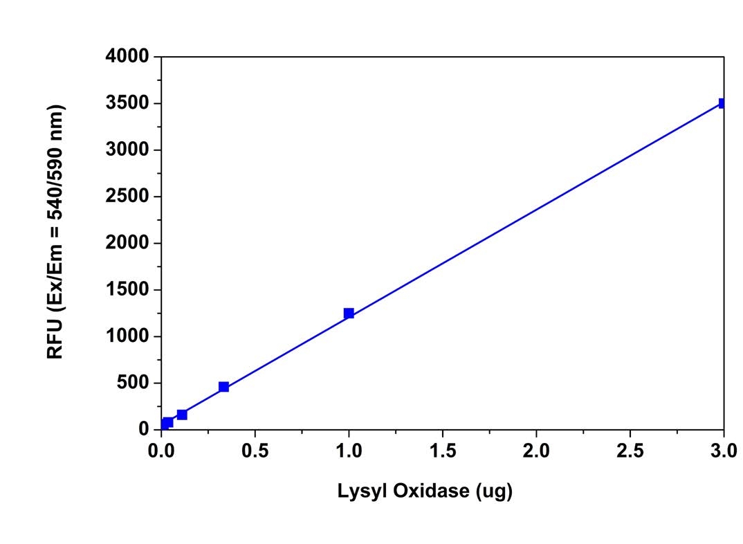 Lysyl oxidase dose response