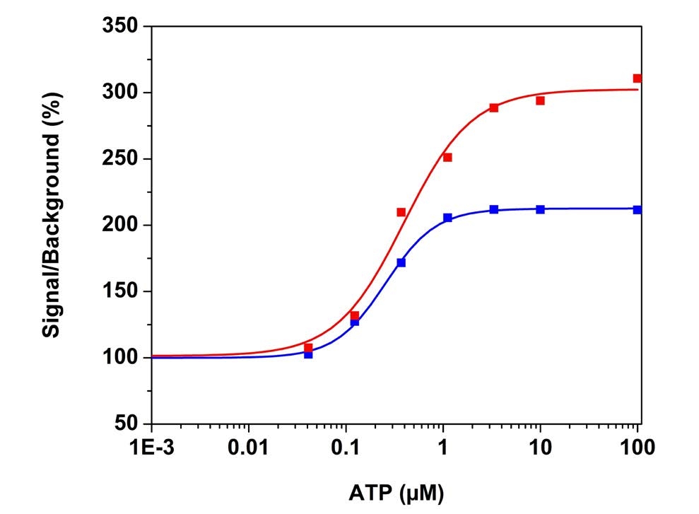 ATP dose responses in CHO-K1 cells measured with Fura-2 AM and Fura-8™ AM