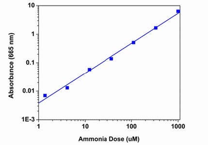 Ammonia dose responses were measured in a 96-well clear bottom plate with Amplite® Colorimetric Ammonia Quantitation Kit. As low as 4 µM ammonia can be detected (n=3) with 45 minute incubation.