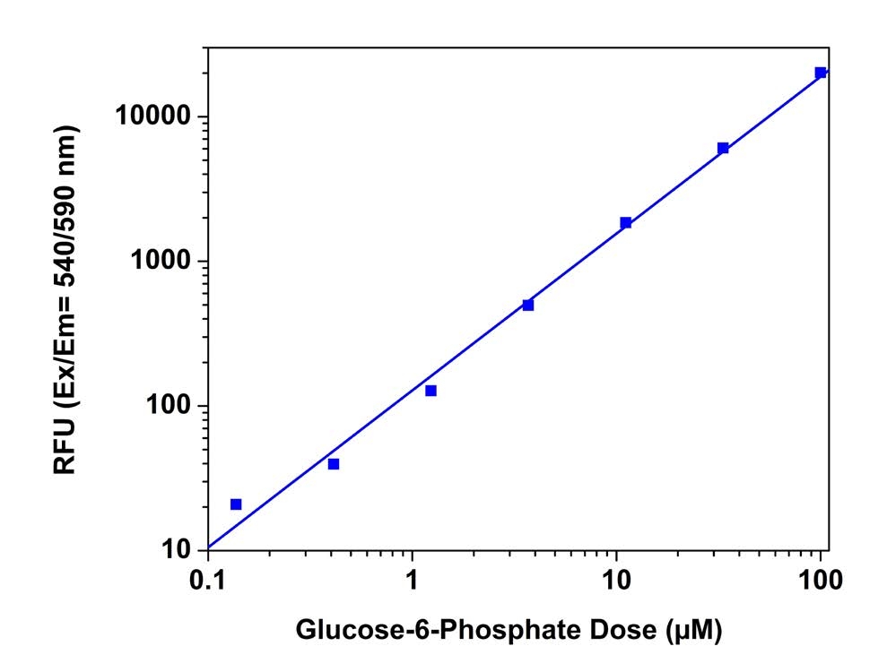 G6P dose responses were measured with Amplite® Fluorimetric G6P Assay Kit in a 96-well black plate using a Gemini (Molecular Devices) microplate reader. As low as 0.3 µM G6P in a 100 µL reaction volume can be detected with 1 hour incubation.