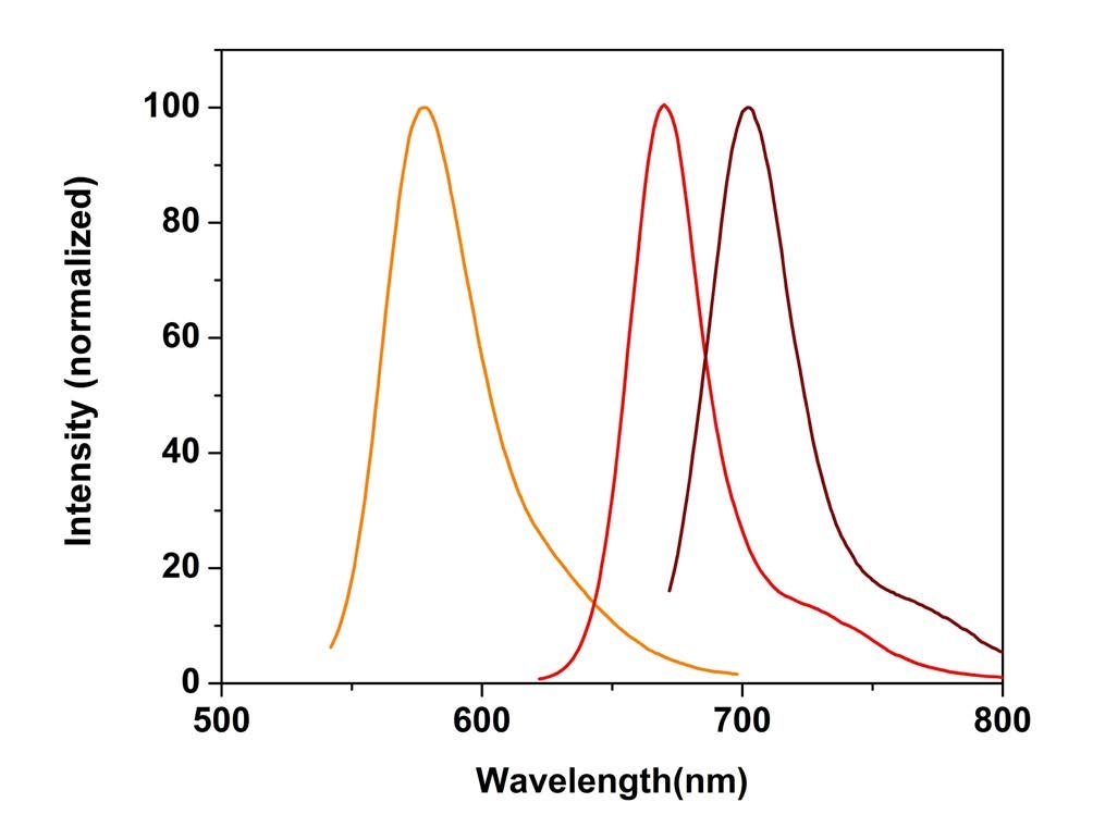 The fluorescence spectra of ROS Brite™ 570, ROS Brite™ 670 and ROS Brite™ 700 in PBS buffer (pH 7.2).
