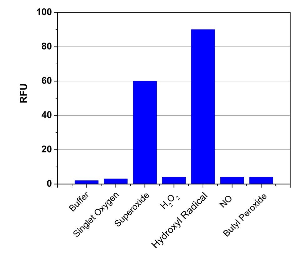 The responses of ROS Brite™ 570 to different ROS species.